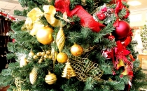 Stromky vánoční zelené i zdobené